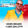 Hawk Mikado
