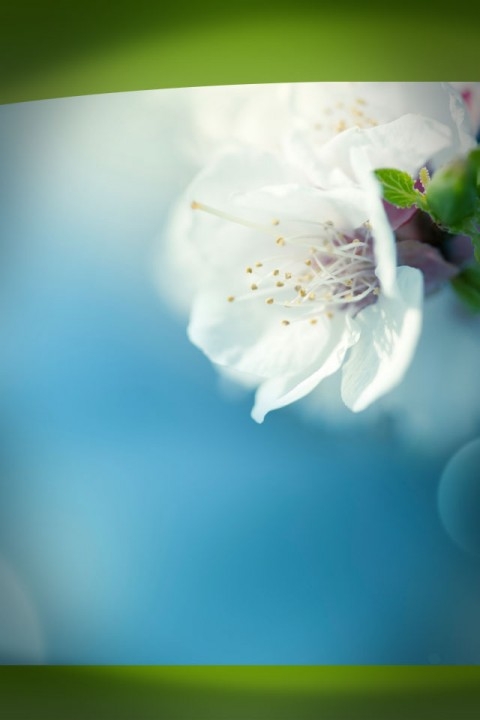 AJ Acupuncture & Chiropractic
