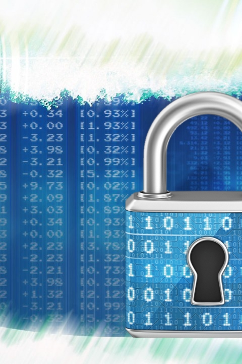 Venus Diaz, Financial